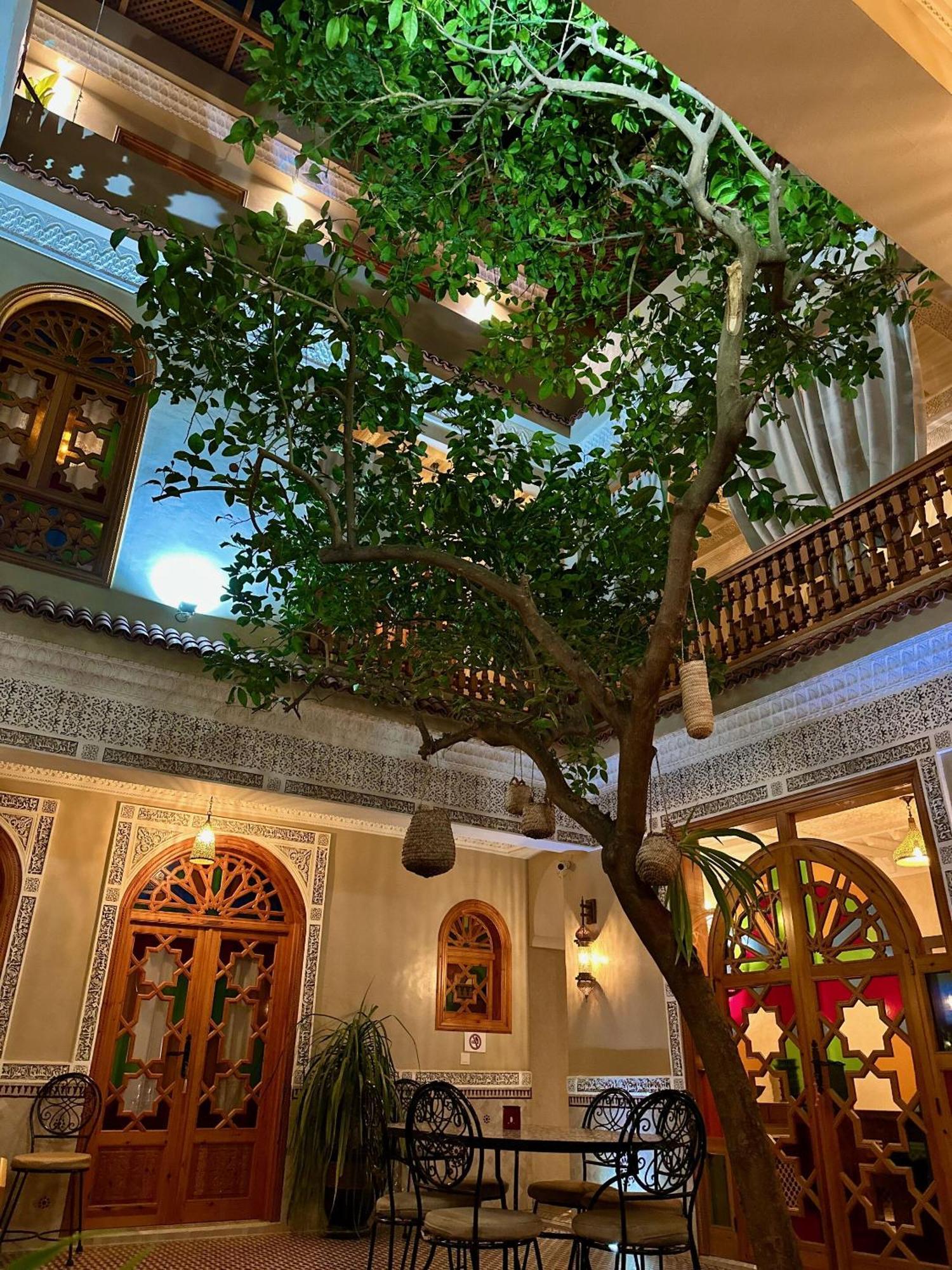 Riad Shajara Marrakesh Buitenkant foto